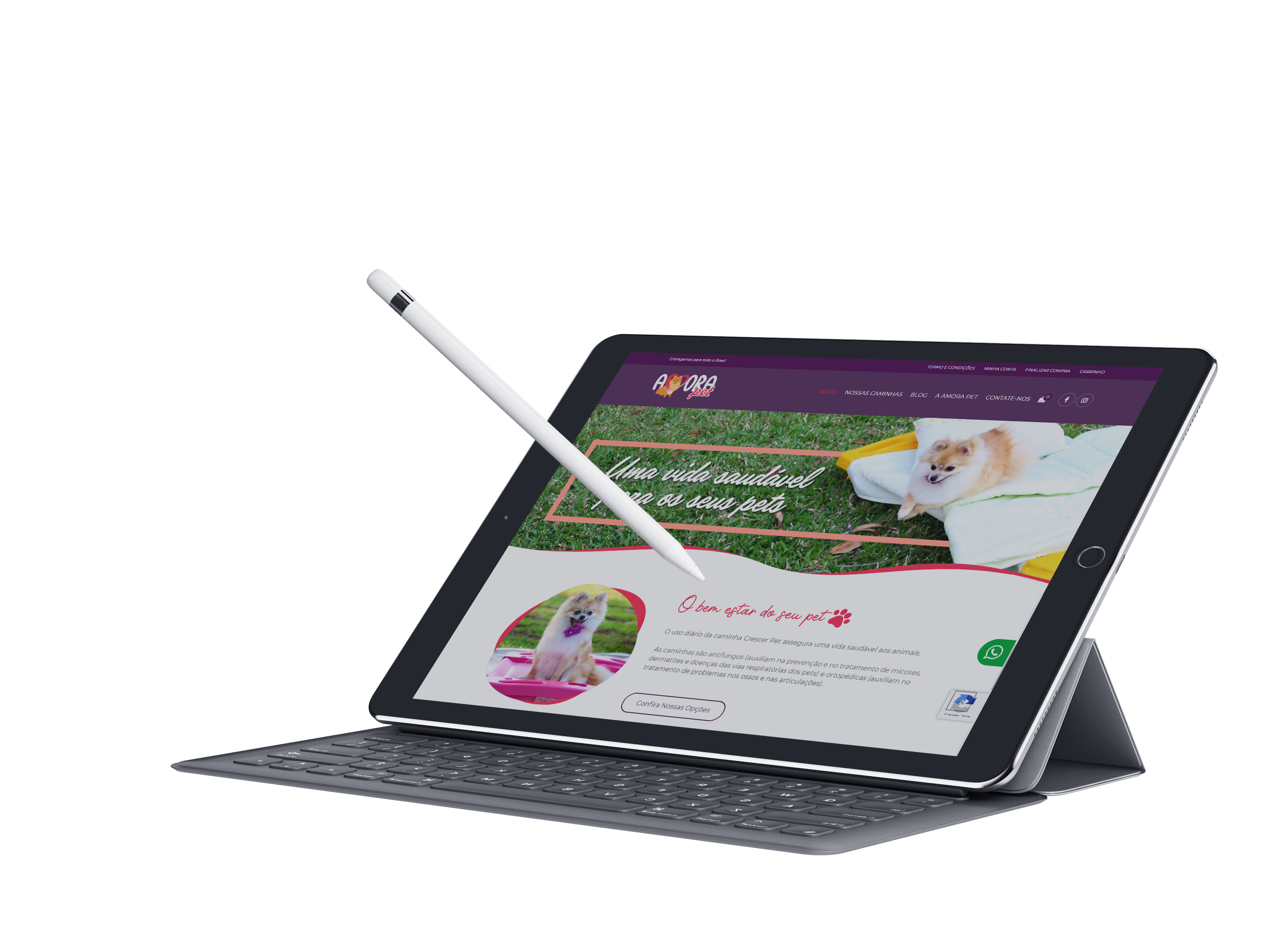 Tronic Criação de Sites e E-commerce/Loja Virtual em Caxias do Sul